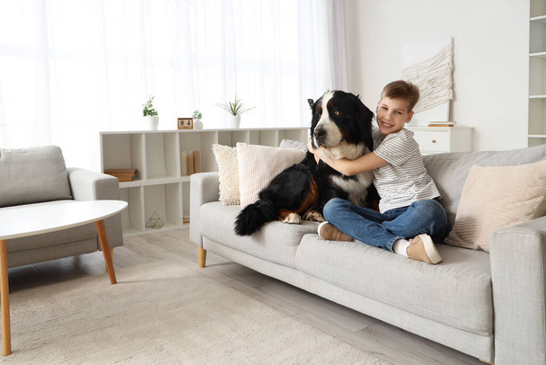 Маленький мальчик обнимает Бернского горного пса на диване дома - Фото, изображение