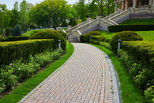 Gesneden groene struiken vormen een labyrint langs betegelde paden in het park, waardoor een serene en doolhof-achtige sfeer ontstaat. Een perfecte zomerdag ontvouwt zich in deze prachtig aangelegde buitenruimte. - Foto, afbeelding