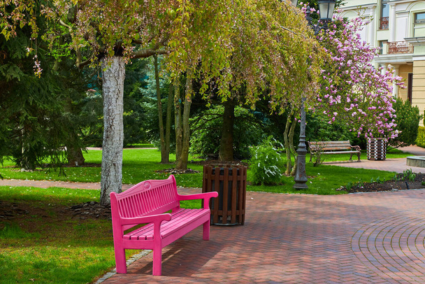 A park scene featuring a meandering pathway, a pink bench, and a lush green lawn, creating a charming and vibrant spot for relaxation and enjoyment - Photo, Image