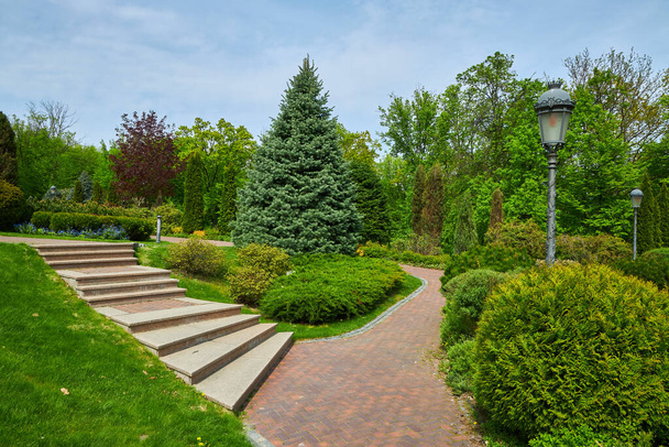 the backyard of the building with steps and entrance in front of which grows bushes of evergreen arborvitae trimmed with a square shape, pedestrian pavement made of tiles around a maze of arborvitae. - Photo, Image