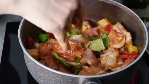assaisonnement poulet sur plat pour la cuisson  - Séquence, vidéo