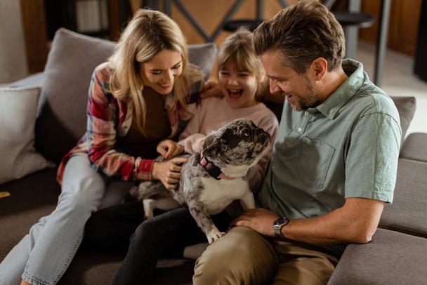 Vreugdevolle ouders kijken hoe hun dochter thuis met een vrolijke franse bulldog speelt - Foto, afbeelding