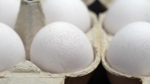 Packs of white chicken eggs. White chicken eggs in a package close-up. - Footage, Video