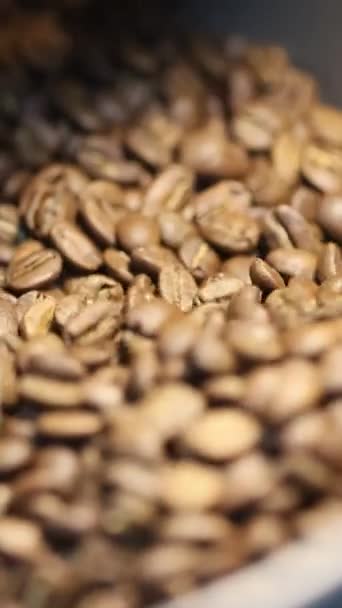 Los granos de café tostados se enfrían se mezcla después de asar en cuchillas especiales mezclar video vertical - Metraje, vídeo