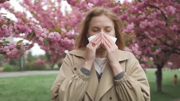Health issues. Pretty young blonde woman having alergy symptoms from blooming sakura tree pollen in spring. Female with pollen allergies of sneezing outdoors - Footage, Video