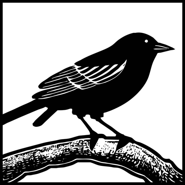 Pták. Černobílá ilustrace zvířete. Návrh loga pro použití v grafice.  - Fotografie, Obrázek