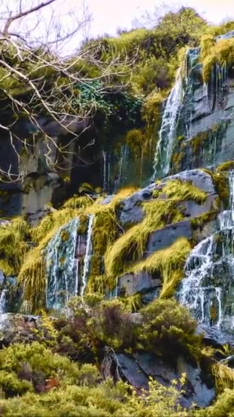 Wodospad przy klifie otoczony bogatą, zieloną roślinnością. Pionowe wideo. - Materiał filmowy, wideo