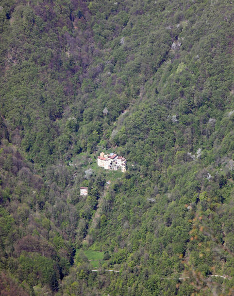 山の斜面にある森の真ん中にある 非常に少数の家のグループ - 写真・画像