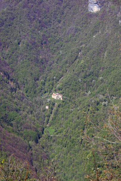 Klaster kilku domów w zagubieniu wsi pośród lasów w górach - Zdjęcie, obraz