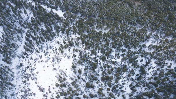 красивий зимовий пейзаж в горах з засніженими деревами - Фото, зображення
