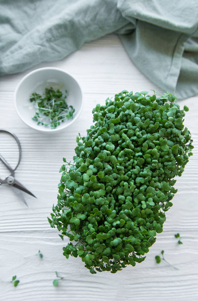 Tray of radish microgreens. Growing microgreens at home. Healthy eating concept. - Photo, Image