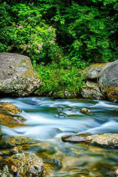 Pitkä valotus kuva pieni puro Maggie Valery, Pohjois-Carolina - Valokuva, kuva