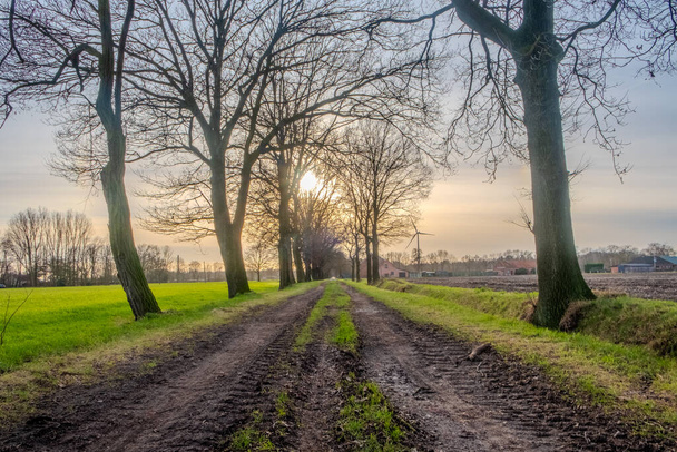 This evocative image depicts a sunrise view along a muddy rural path flanked by leafless trees. The sun, low on the horizon, scatters its soft light through the branches, casting long shadows on the - Photo, Image