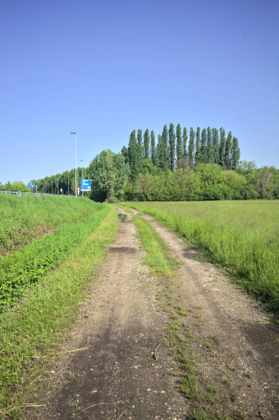 A ligetbe vezető földút - Fotó, kép