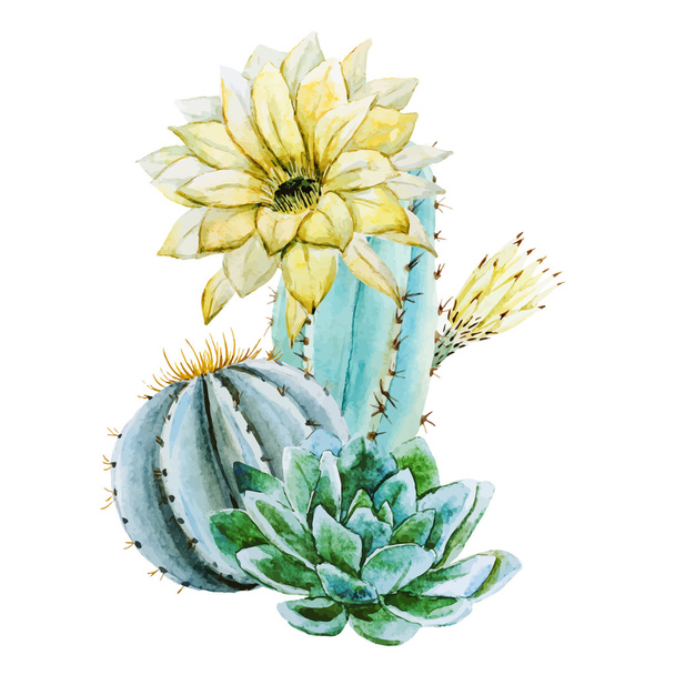 Watercolor cactus - Vektör, Görsel