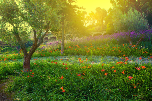 színes park virágokkal - Fotó, kép