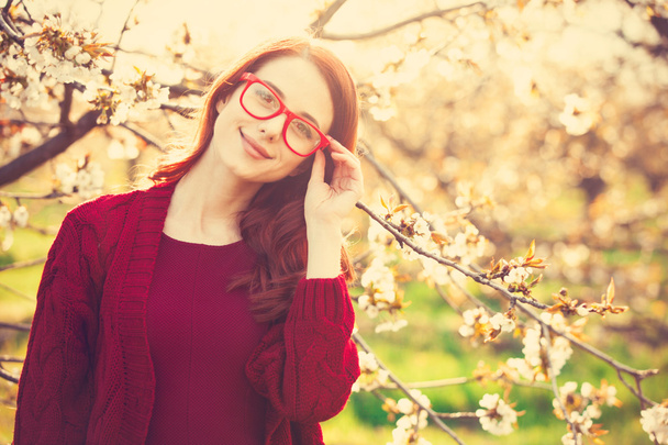 Woman in blossom apple tree garden - Photo, Image
