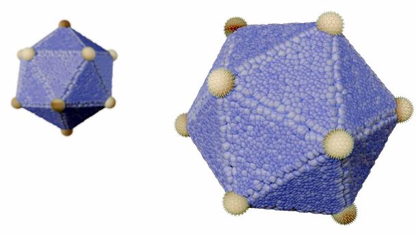 3d rendering of La estructura icosaédrica de los virus. Los virus con una estructura icosaédrica incluyen: Poliovirus, Rhinovirus y Adenovirus - Foto, Imagen