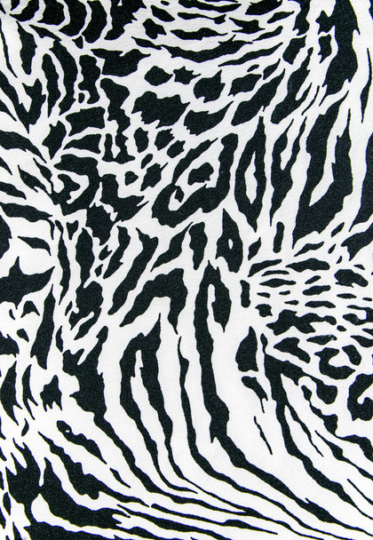 tekstura Paski zebry druku tkanin i Lampart na tle - Zdjęcie, obraz