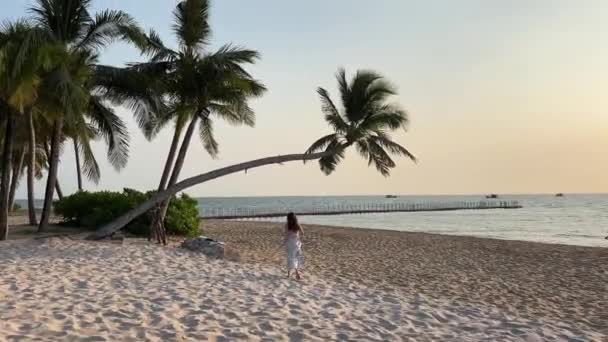 Mädchen spielt unter Palmen am Strand. Luxusurlaub einer gebräunten Bikini-Frau am Tropenstrand - Filmmaterial, Video