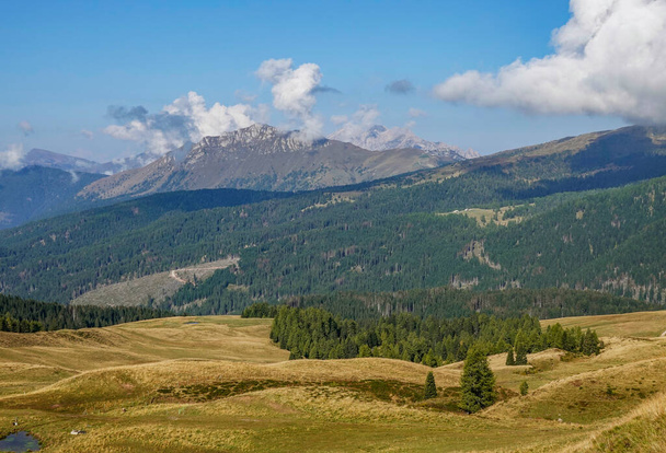 Vista de verano del famoso paisaje de Pale di San Martino, cerca de San Martino di Castrozza, Dolomitas italianas, Europa - Foto, Imagen