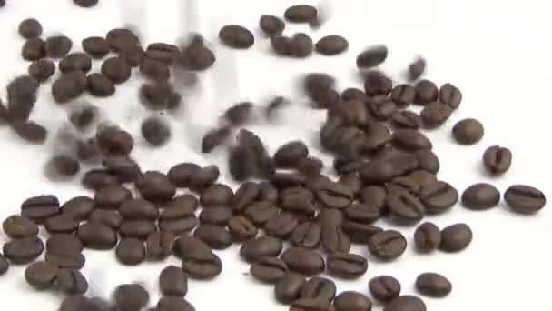 Кофейные зерна изолированы на белом фоне - Кадры, видео