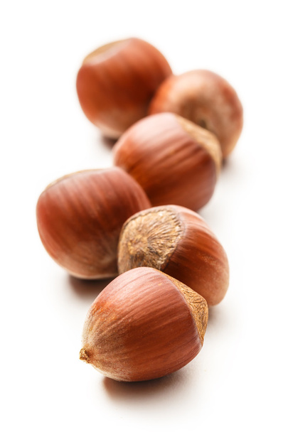 Свіжі коричневі горіхи
 - Фото, зображення