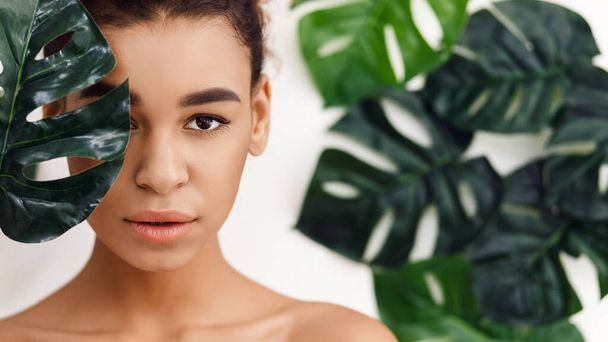 Cosmetici naturali. Donna afro-americana contro le foglie tropicali, panorama
 - Foto, immagini