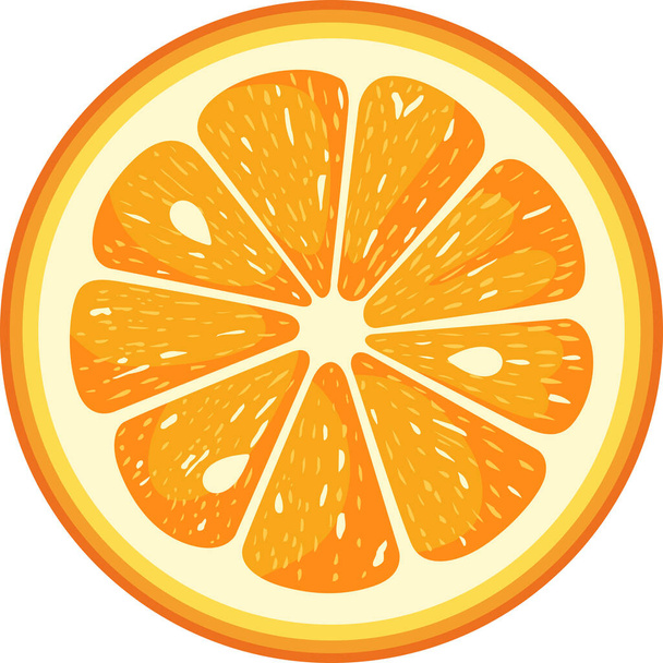 Elkülönített narancsszelet frissen - Vektor, kép