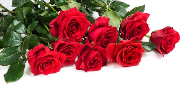 Bouquet of red roses - Foto, Bild