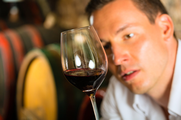Человек тестирует вино в фоновых бочках
 - Фото, изображение