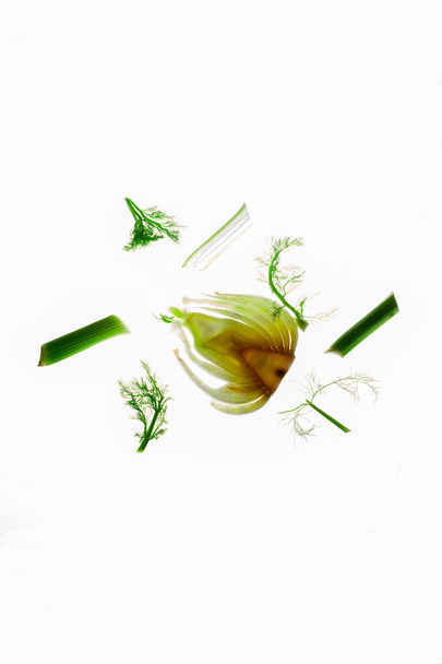 Parts of a raw fennel thinly cut open. - Photo, Image