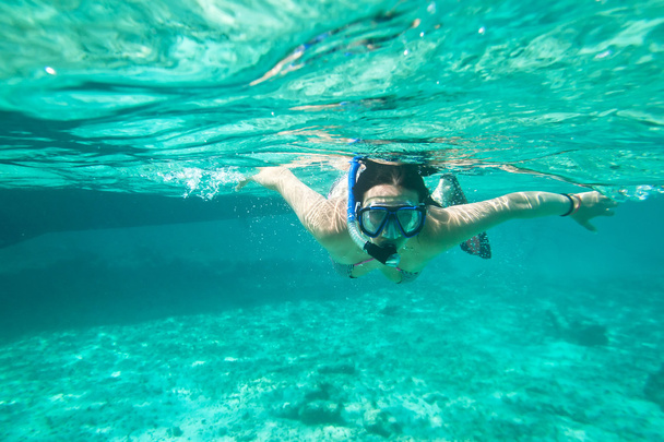 Snorkeling in the Caribbean Sea - Valokuva, kuva