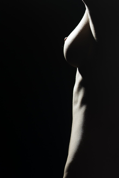 Beautiful young girl's body - Foto, Imagen