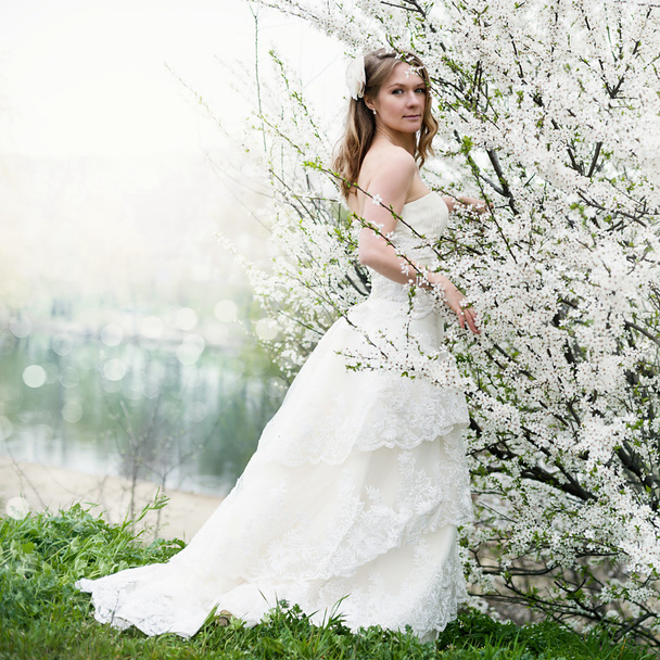 Beautiful bride in spring blossom - Фото, зображення