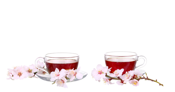 白い背景で隔離の桜の小枝と紅茶のカップをコラージュします。. - 写真・画像