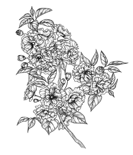  Vector illustration of a branch of blooming sakura in engraving style - Vector, Image