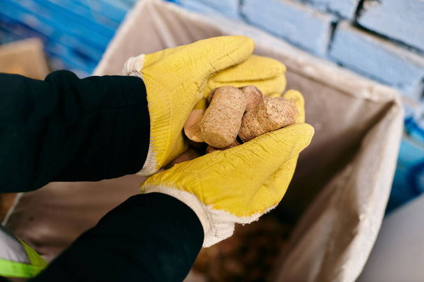 A young volunteer in yellow gloves holds wine corks, showcasing eco-conscious waste sorting efforts. - Valokuva, kuva