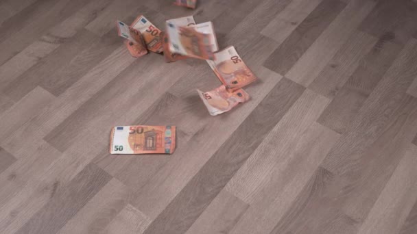Een man verbrandt stapels dollarbiljetten op een houten vloer. Het concept van inflatie en decentralisatie, de waardevermindering van geld, de wereldwijde crisis. - Video