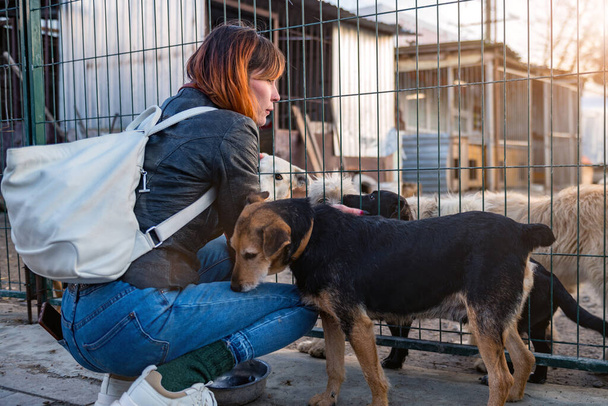 Cane al rifugio. Il volontario del rifugio per animali si prende cura dei cani. Cani solitari in gabbia con donna allegra volontaria.  - Foto, immagini