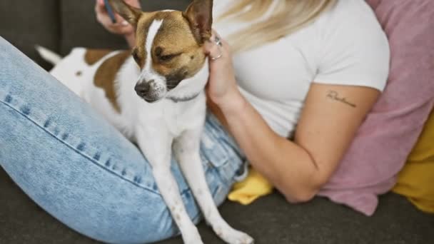 blank vrouw aaien haar jack russell terrier hond tijdens het gebruik van een smartphone op een bank binnen - Video