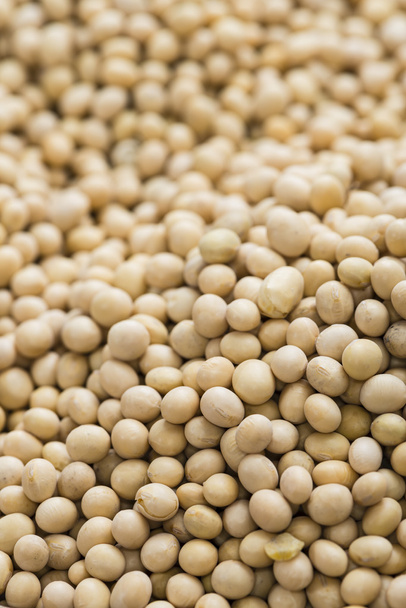 Soy Beans background - Foto, Imagem