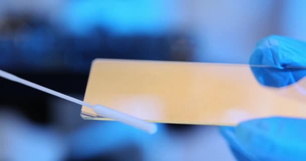 Laboratóriumi dolgozó kenetet készít az üvegre lassított felvételen. Szakmai előkészíti a mintát a laboratóriumi sejtszerkezetek megfigyelésére - Felvétel, videó