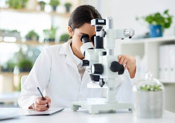 Science, microscope and writing in lab with research for sample analysis, medical experiment and DNA test. Scientist, woman and expert with tech equipment for gene editing or healthcare breakthrough. - Photo, Image