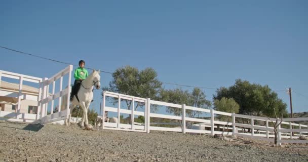 自然の美しさを探索する: 牧場で乗馬する女の子, 景色の自然の風景での乗馬のライフスタイル, 動物のための愛と喜びのケア. 高品質の4k映像 - 映像、動画