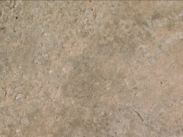 vecchio muro di cemento texture sfondo - Filmati, video