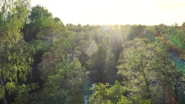 Letecký pohled na zelený les a řeku v létě, zářící stromy a paprsky vycházejícího slunce. Let dronem nad starým svěžím zeleným opadavým lesem. Jaro v evropské přírodě. Záběry 4k ProRes. - Záběry, video