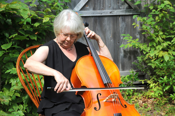 ženské violoncellista. - Fotografie, Obrázek
