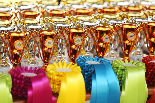 Ryhmä kauniita värikkäitä palkintoja ja nauhoja voittajille ja osallistujille ulkona hevosurheilun tapahtuma       - Valokuva, kuva