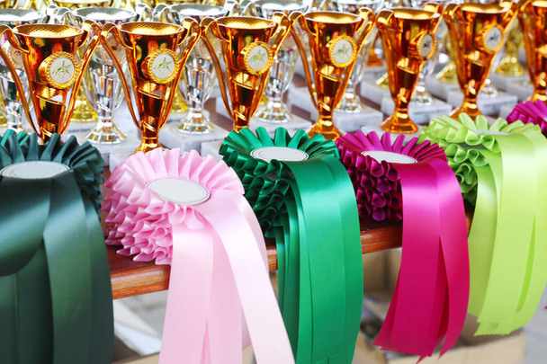 Gruppo di bellissimi trofei e nastri colorati per i vincitori e partecipanti all'evento ippico all'aria aperta       - Foto, immagini